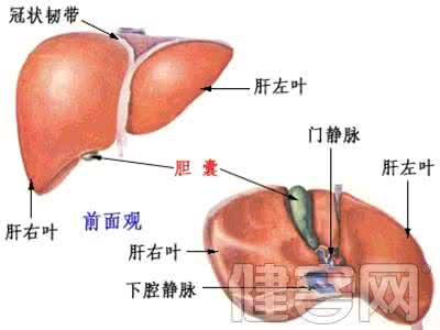 肝癌腹水吃什么排水 肝癌腹水 什么是肝癌腹水