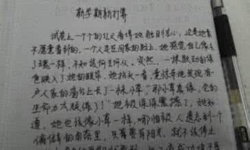 马虎的我作文300字 马虎的后果作文350字