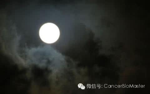 癌细胞扩散 夜晚是癌细胞扩散的时间段