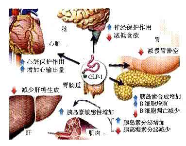 桑叶能治糖尿病吗 秘糖尿病、血糖高吃一点桑叶,竟有这么大的好处!