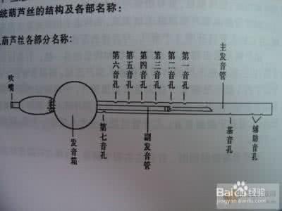怎样学葫芦丝 学葫芦丝 怎样学葫芦丝