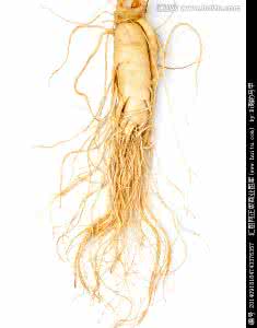 高血压患者服药方法 为什么高血压患者要慎服西洋参呢