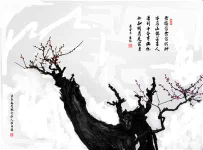 画意摄影 画意摄影 将画意摄影进行到底之二