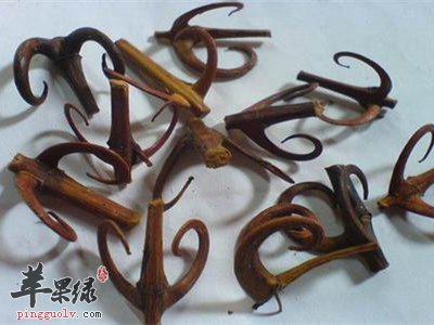 天麻钩藤饮 止痉散 天麻钩藤饮合止痉散治疗儿童多发性抽动症32例