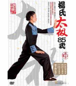 杨氏太极拳动作名称 转载 杨氏85式(全套)动作名称及主要动作分动提示