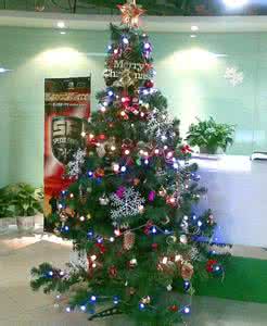 圣诞树装饰图片 圣诞节圣诞树怎么装饰？