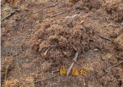 纯松针腐叶土养花好吗 纯松针腐叶土养花好吗 自制养花腐叶土,省钱小妙招!