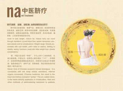 中医脐疗大全 《中医脐疗大全》