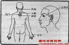 康姿百德第六套第一节 第一节　感冒