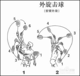 无符号拉普拉斯矩阵 拉普拉斯无旋运动