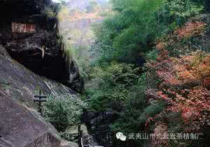 武夷山三坑两涧 【茶叶知识】话说武夷山三坑两涧