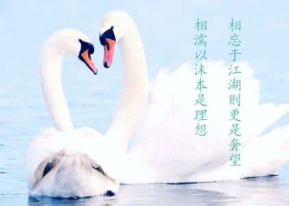 举案齐眉 情感美文：一生中，有一人举案齐眉就是最大的幸福