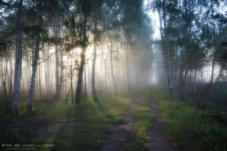 外面的世界很无奈 外面的世界很无奈，内心的世界很精彩