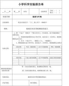 五年级下科学实验报告 教科版五年级上册科学实验报告单