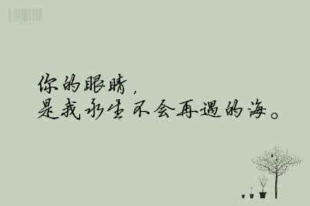 我永生不遇的海的含义 你的眼睛,是我永生不会再遇的海