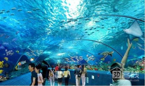 长沙海底世界门票价格 长沙海底世界 长沙海底世界门票价格