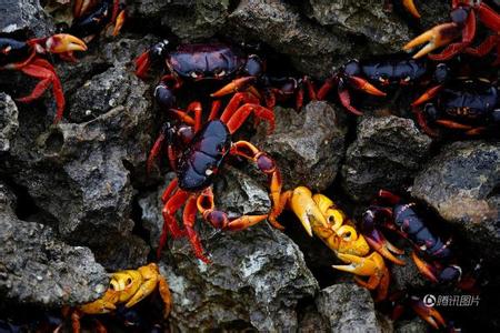 我们所处的时代 我们处在一个庸众横行的时代