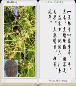 中草药大全图文 中草药(图文)