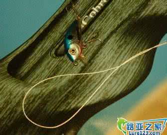 假饵颜色 假饵颜色的选择技巧