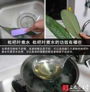 喝了枇杷叶煮水的禁忌 枇杷叶煮水有什么功效