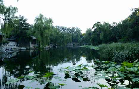清华大学校园风光 清华大学 校园风光