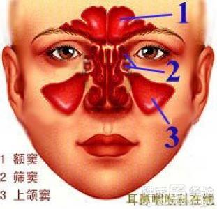 健康之路鼻窦炎 健康之路20130727视频张罗：鼻子当家（鼻窦炎）【文字 视频】