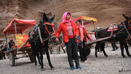 黄河石林 黄河石林·赶毛驴车的女人（组图）