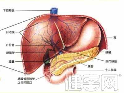 肝囊肿形成的两大原因 肝囊肿是通过什么原因形成的