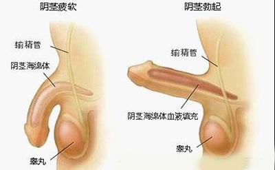 不当流产的后遗症 男性阳痿治疗不当易发生四个后遗症