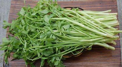 防癌抗癌又明目的野菜 10种野菜是防癌明星