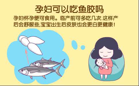 孕妇吃花胶还是燕窝好 孕妇吃花胶的好处