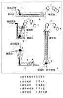 干湿法纺丝 干-湿法纺丝