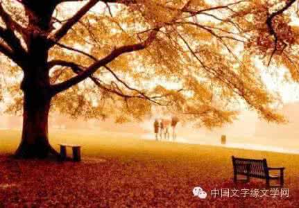 心花路放大理梧桐客栈 心似梧桐不知秋
