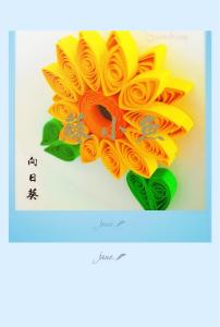 向阳花开 心若向阳,满目花开