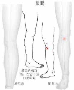 老年人膝盖痛怎么治疗 老年人膝盖痛怎么治疗？