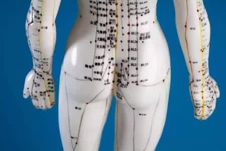 董氏奇针灸图全息图 针灸专业必备——全息图谱