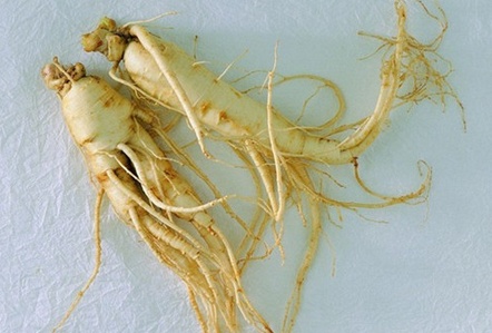 什么人不能吃白术茯苓 什么人不能吃白术?