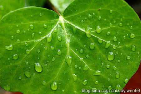 把握生命里的每一分钟 把握生命里的暖