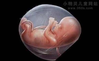 脐带绕颈一周纠正方法 脐带绕颈一周怎么纠正 这些情况孕妈不要摸肚子,后果可能比脐带绕颈严重