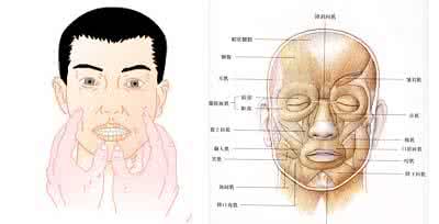 中枢性面瘫 中枢性面瘫的治疗 中枢性面瘫 这些按摩方法帮你治疗面瘫
