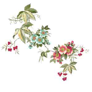 绝美古诗词欣赏100句 诗美、画美、花美(一组绝美诗画)