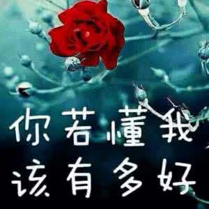 该放弃的绝不挽留 该放弃的决不挽留，该珍惜的决不放手