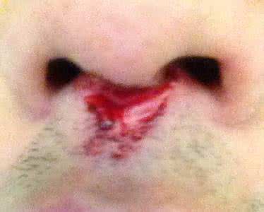 不规则三角网 精美的缝针不规则网连