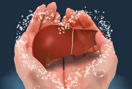 怎样保护肝脏七种食物 七种饮食完美的保护肝脏