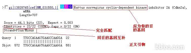 引物特异性检测 什么是特异性引物？
