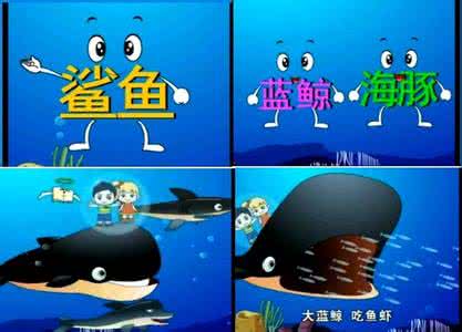 识字不用教全集下载 《识字不用教》全集高清下载