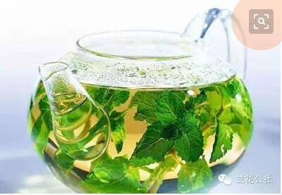 桑叶茶可以长期喝吗 长期喝桑叶茶好吗