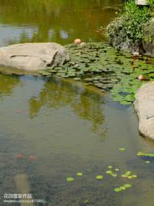 一日禅集锦经典 一日禅集锦（847）