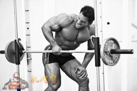 背部肌肉训练 用单边训练强化背部肌肉