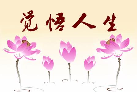 女人如花经典感悟句子 女人感悟100条